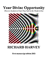Front Cover of Your Divine Opportunity