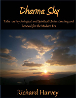 Front Cover of Dharma Sky e-book