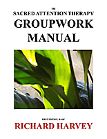 Front Cover of SAT Groupwork Manual